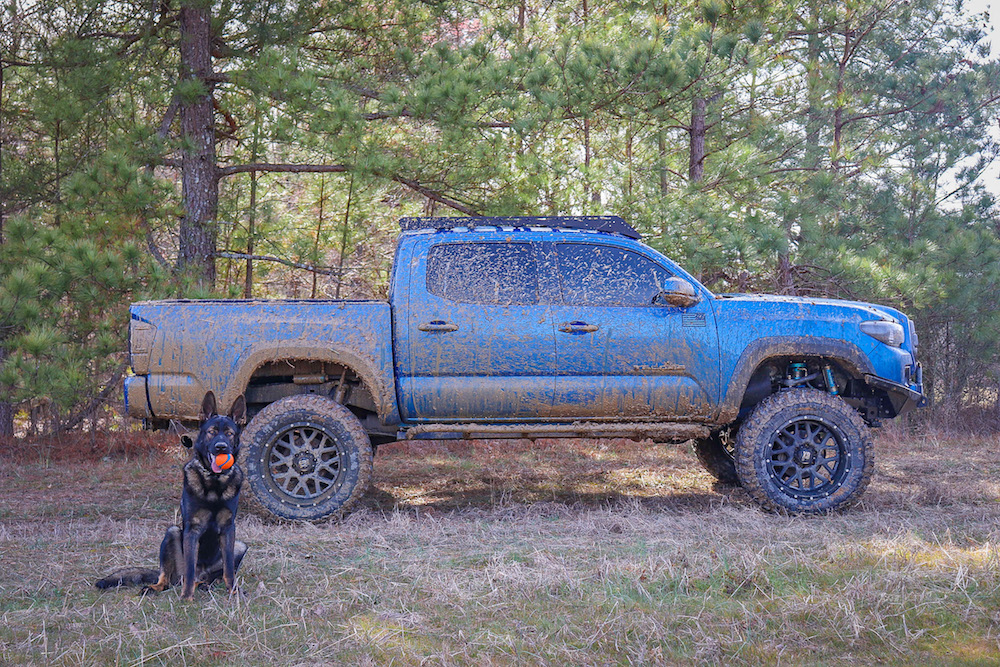 Gear Oil for the 3rd Gen - GL 4 vs GL 5 / Differentials, Transfer and MT, 3rd Generation Tacoma Forum