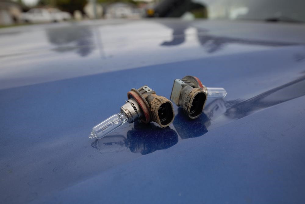 OEM High Beam Bulbs Tacoma