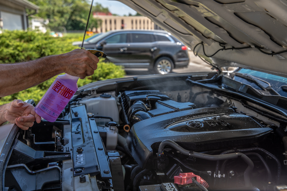 Cleaning & Degreasing Car Engine