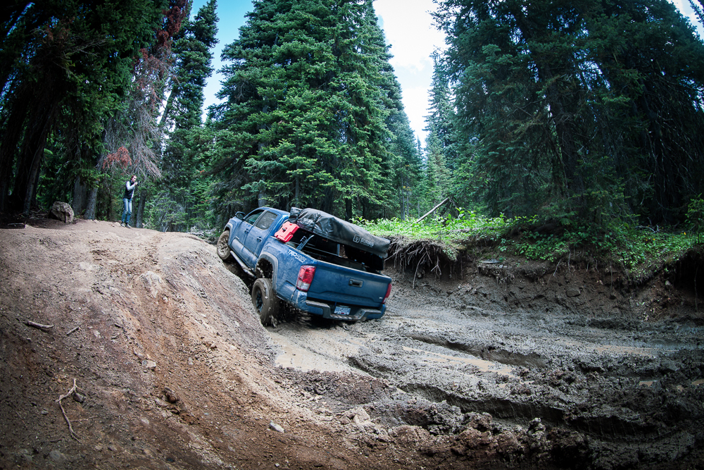 Calvary Blue Toyota Tacoma Off-Roading on Whipsaw Creek Trail in British Columbia