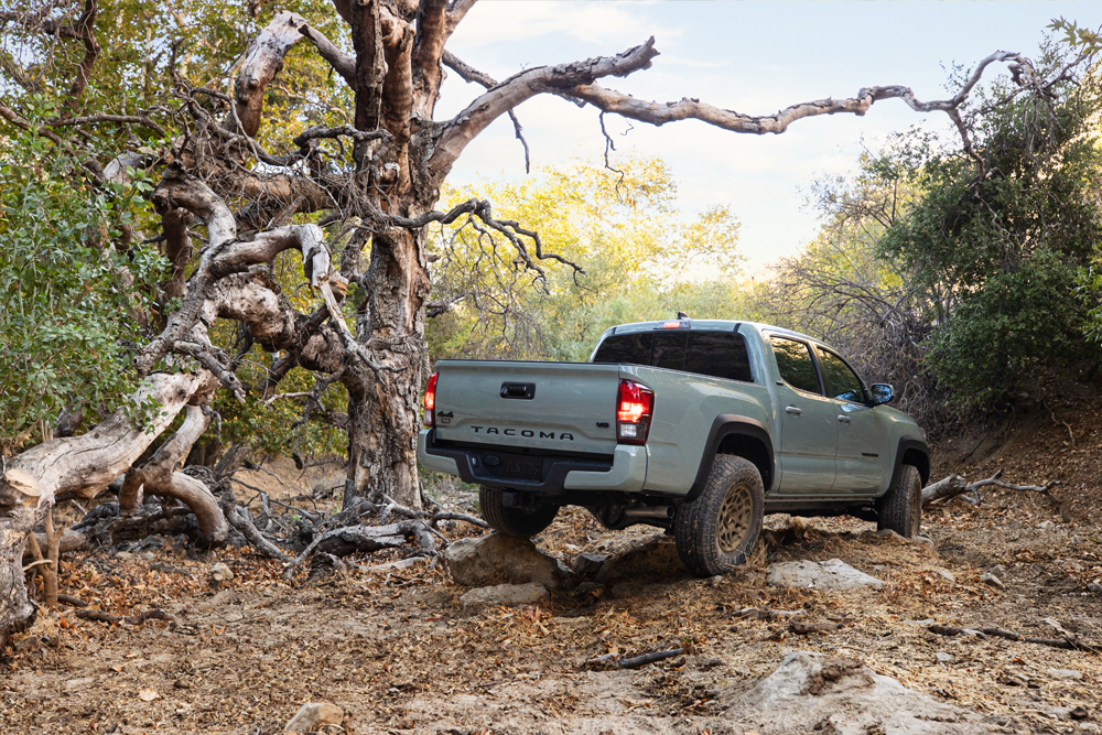 2022 3rd Gen Toyota Tacoma Trail Edition in Lunar Rock