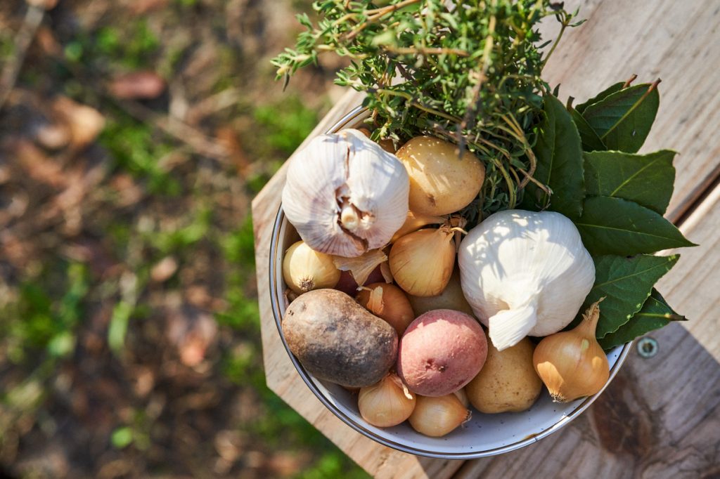 Must-Have Foods for Cooking Outdoors - Garlic & Potatoes