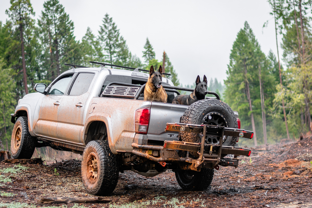 RIGd Supply Tire Swingout With 1UP USA Bike Rack on Lifted 3rd Gen (2016+) Tacoma with 33" Tires