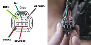 sportster tail light wiring