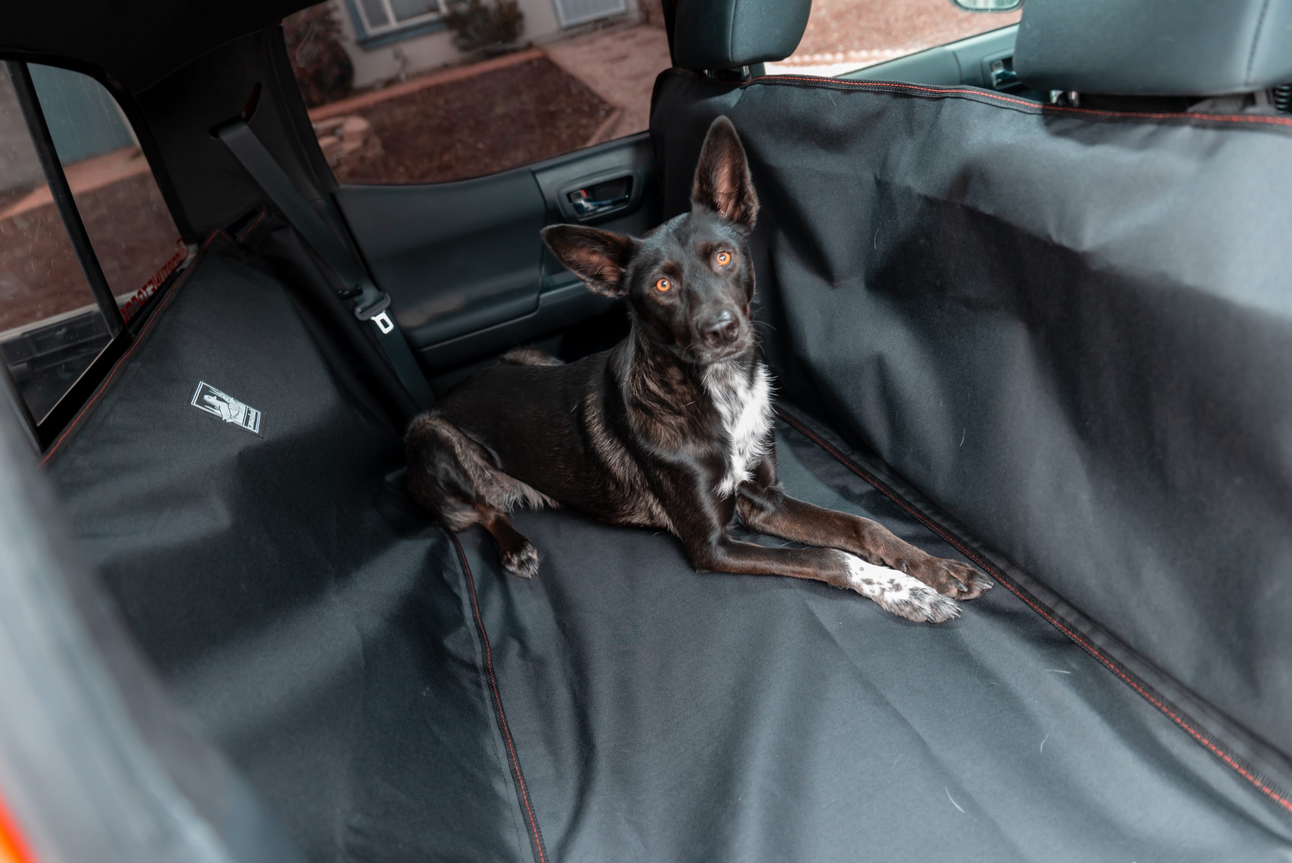 Here's our dog hammock seat cover for the back seat. The sides zip up to  protect the doors and you can lower the flap to protect the seat when the  dogs jump