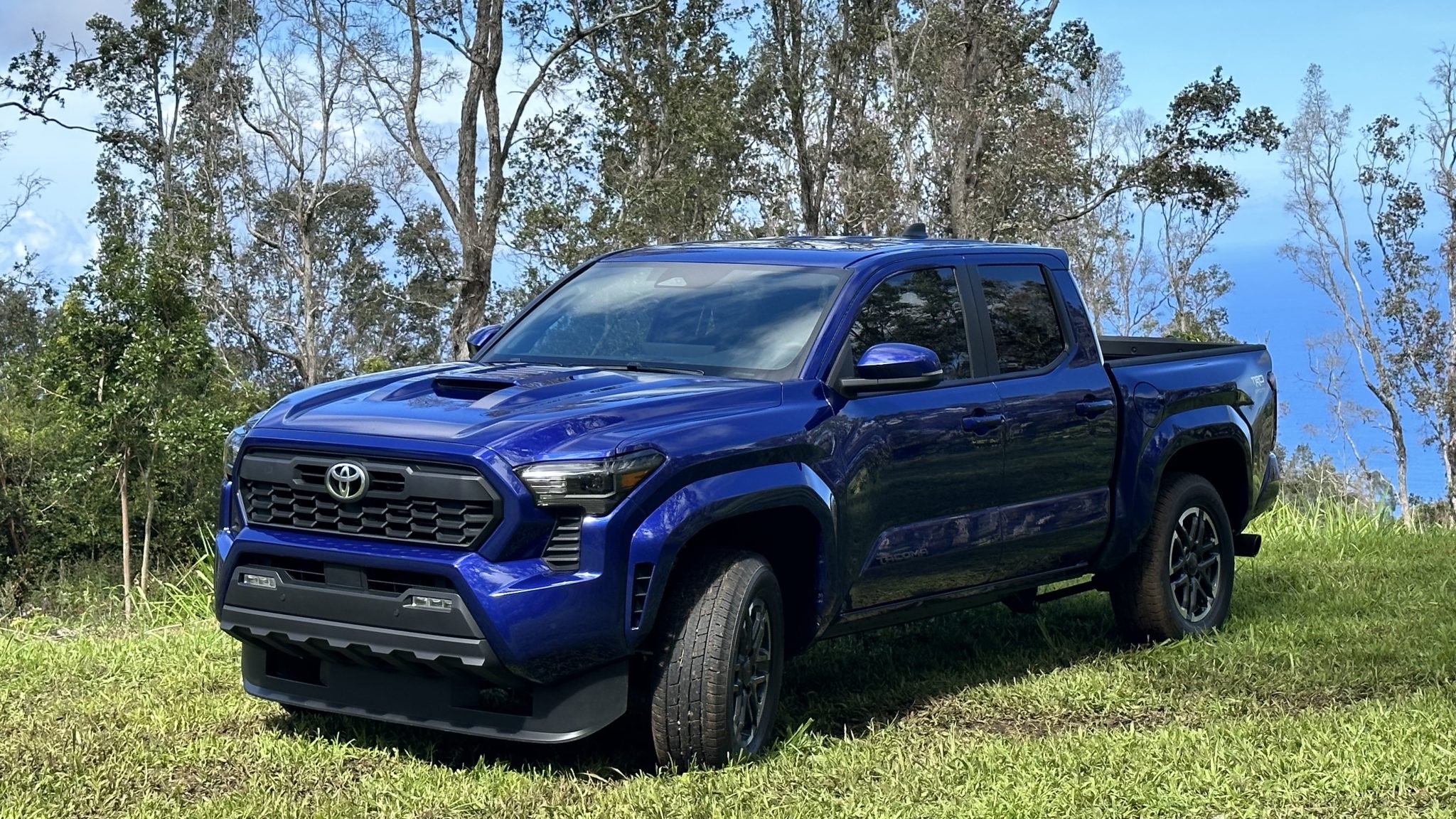 2024 Trd Sport For Sale Crissy Genevieve